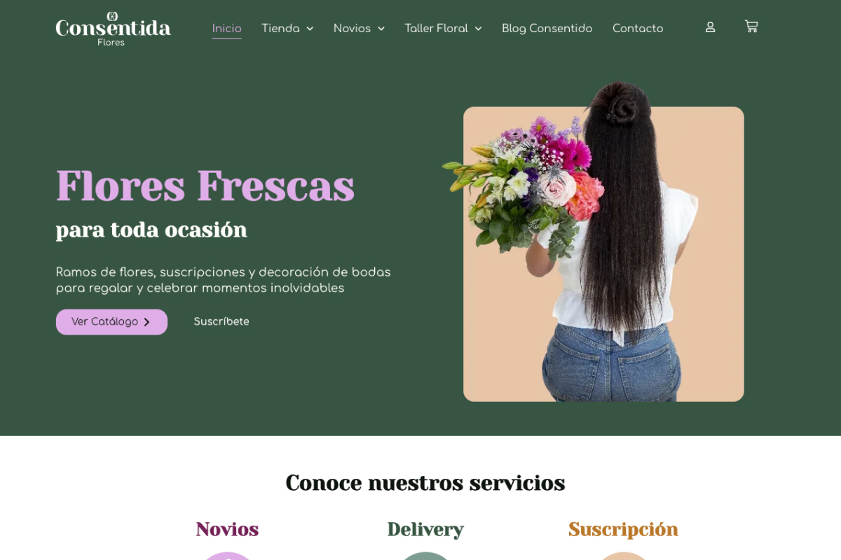 Proyecto Sitio de E-Commerce
